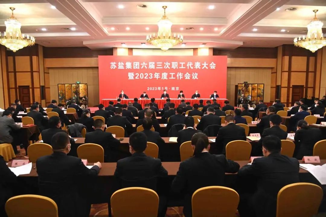 5爱体育（中国）股份有限公司隆重召开六届三次职工代表大会暨2023年度工作会议